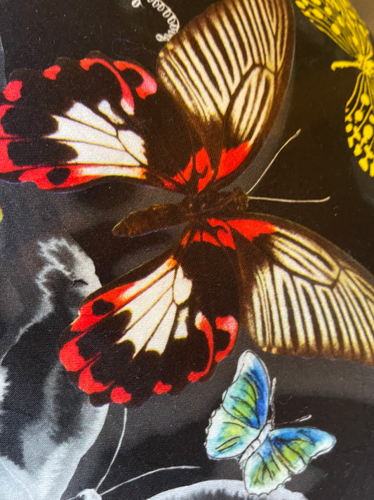 Kussen Vlinder zwart 60x40 cm